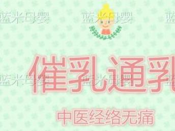 無痛催乳與產(chǎn)后康復(fù) 催乳師公司的專業(yè)服務(wù)與培訓(xùn)解析